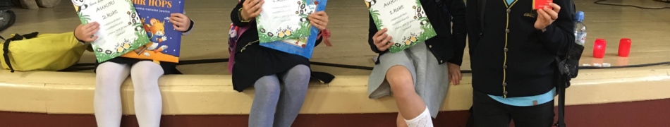 46928415_204829283760107_1989907246439464960_n